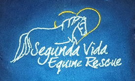 Segunda Vida Equine Rescue Foundation, Gormley,ON Vehicle Donation Quotation Form Segunda Vida Equine Rescue Foundation, Gormley,ON Vehicle Donation Quotation Form