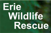 Erie Wildlife Rescue, Windsor,ON Vehicle Donation Quotation Form Erie Wildlife Rescue, Windsor,ON Vehicle Donation Quotation Form