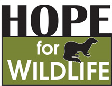 Hope for Wildlife Society, Seaforth,NS Vehicle Donation Quotation Form Hope for Wildlife Society, Seaforth,NS Vehicle Donation Quotation Form