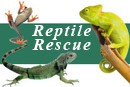 Reptile Rescue, Adoption and Education Society, Richmond,BC Vehicle Donation Quotation Form Reptile Rescue, Adoption and Education Society, Richmond,BC Vehicle Donation Quotation Form