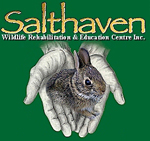 Salthaven Wildlife Rehabilitation and Education Centre Inc., Mount Brydges,ON Vehicle Donation Quotation Form Salthaven Wildlife Rehabilitation and Education Centre Inc., Mount Brydges,ON Vehicle Donation Quotation Form