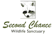 Second Chance Wildlife Sanctuary, Pickering,ON Vehicle Donation Quotation Form Second Chance Wildlife Sanctuary, Pickering,ON Vehicle Donation Quotation Form