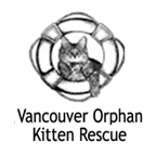Vancouver Orphan Kitten Rescue, Vancouver,BC Vehicle Donation Quotation Form Vancouver Orphan Kitten Rescue, Vancouver,BC Vehicle Donation Quotation Form
