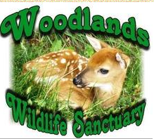 Woodlands Wildlife Sanctuary, Minden,ON Vehicle Donation Quotation Form Woodlands Wildlife Sanctuary, Minden,ON Vehicle Donation Quotation Form